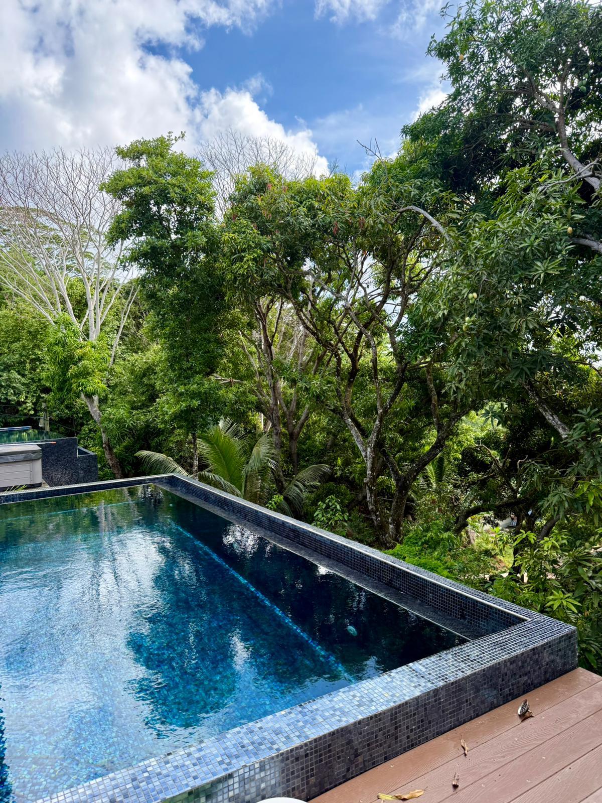 The pool by day, looking across the canopy