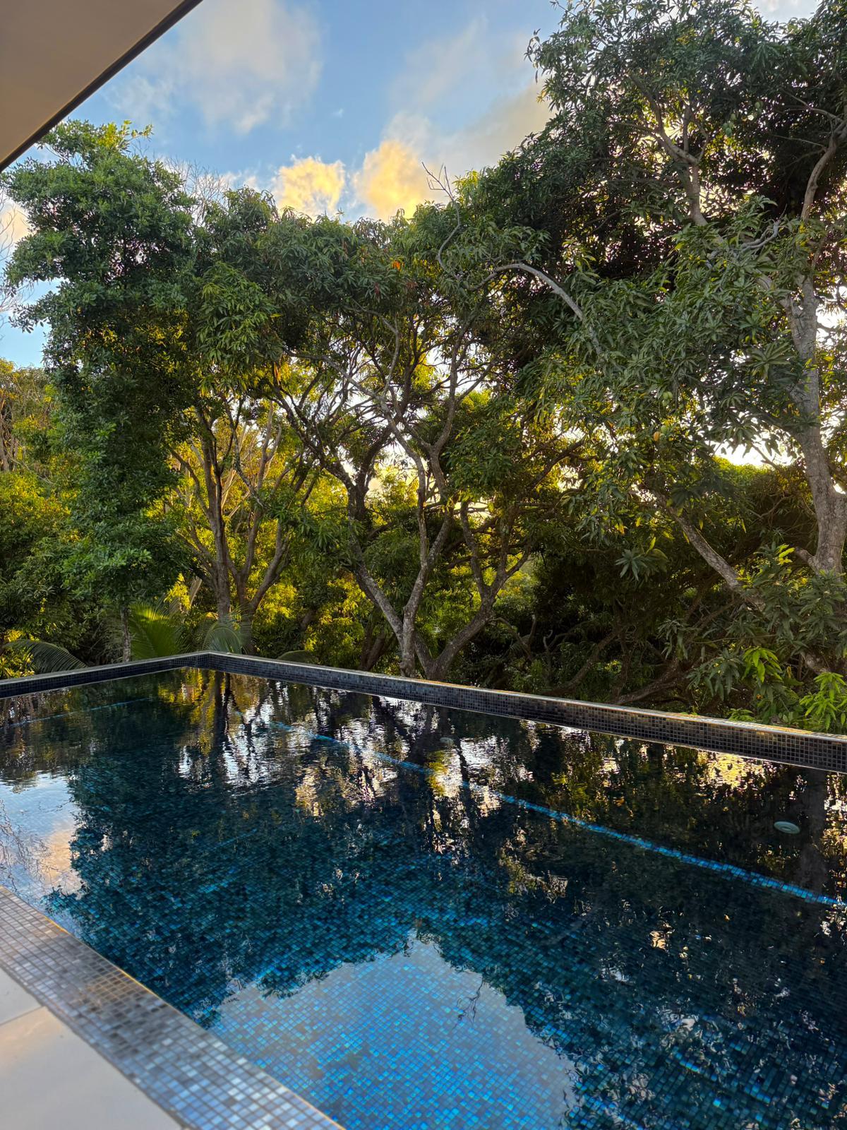 The infinity pool at sunset, reflecting the sky and the canopy